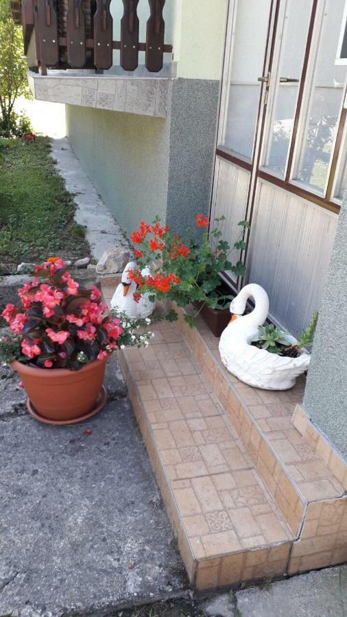 Ivana Saborsko Dış mekan fotoğraf