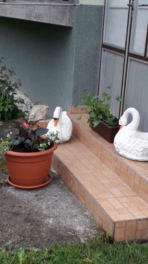 Ivana Saborsko Dış mekan fotoğraf