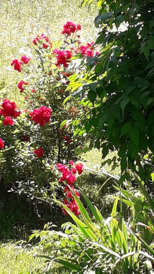 Ivana Saborsko Dış mekan fotoğraf